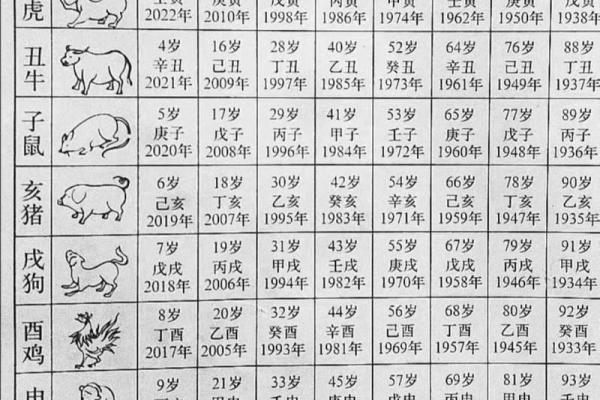 92年属什么生肖