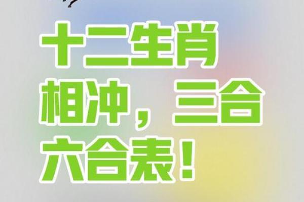 鼠跟什么属相相冲