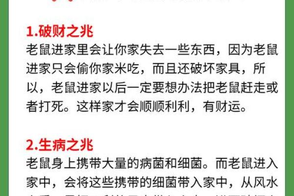 梦见追老鼠是什么预兆