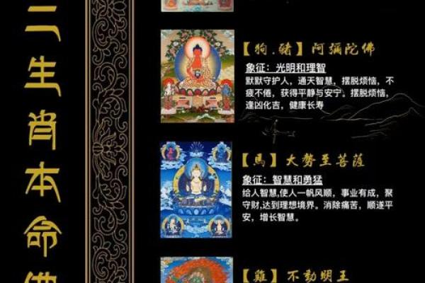 神秘大佛的生肖是什么生肖