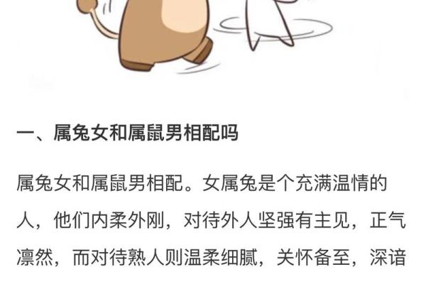 生肖兔和什么生肖相冲