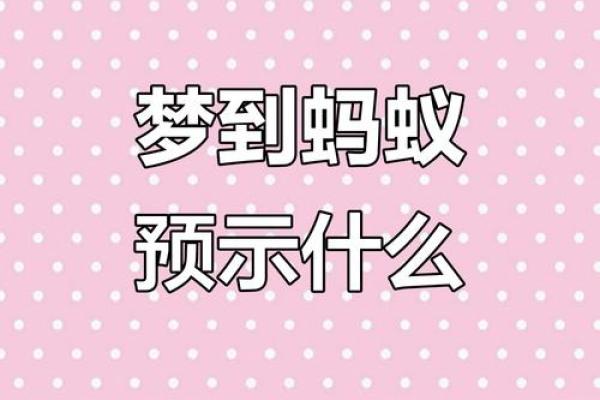梦见自己身上好多蚂蚁是什么征兆