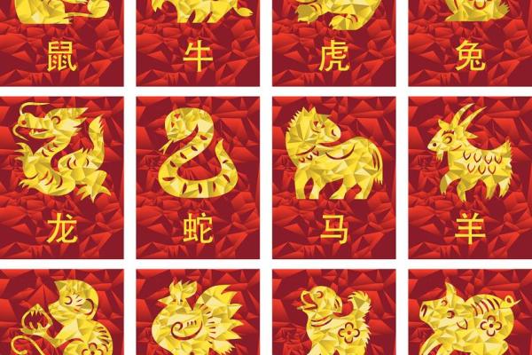 1972年属什么生肖