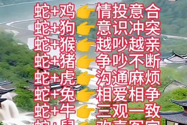 蛇和什么属相相冲