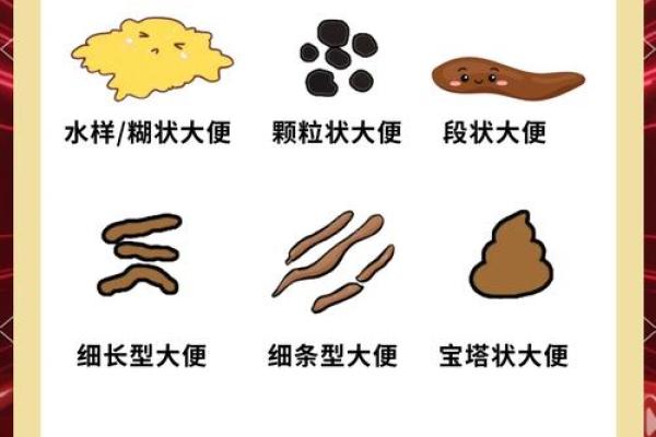 梦见拉屎在身上