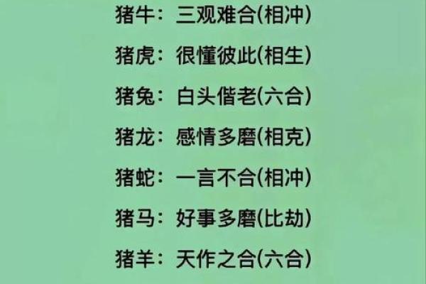 今天什么生肖相冲