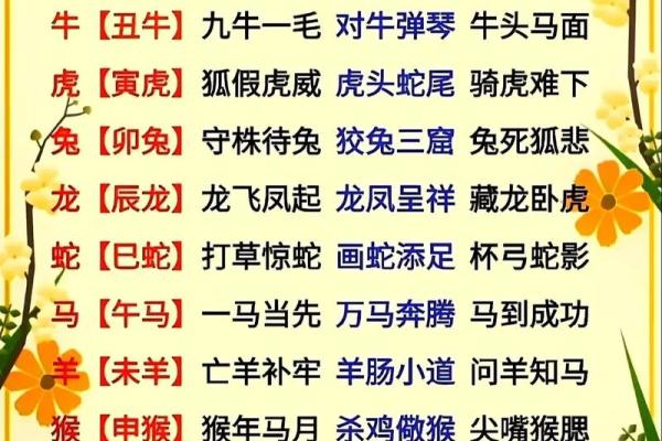 1982年属什么生肖
