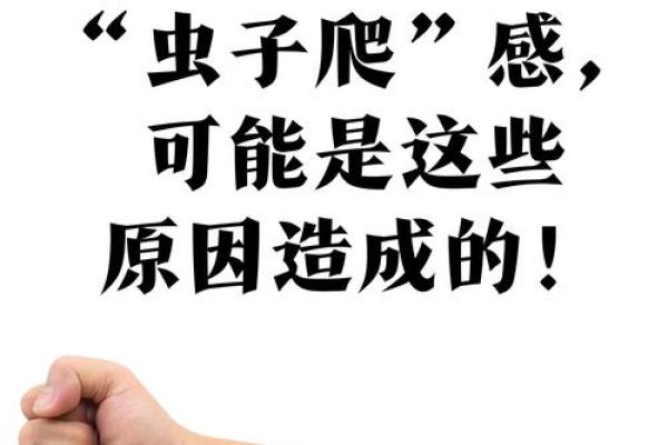 做梦梦到自己身上好多虫子是什么意思
