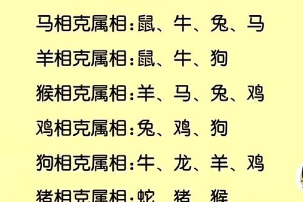 兔和什么属相相冲