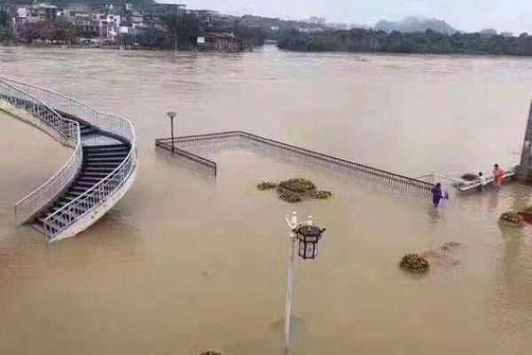 梦见外面下雨了