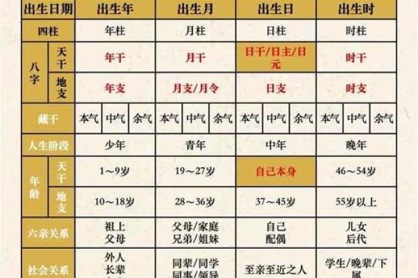 看八字基本步骤详解(四柱八字入门详细步骤)