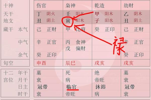 十干禄在八字中代表什么意思(命里五行属什么怎么算)