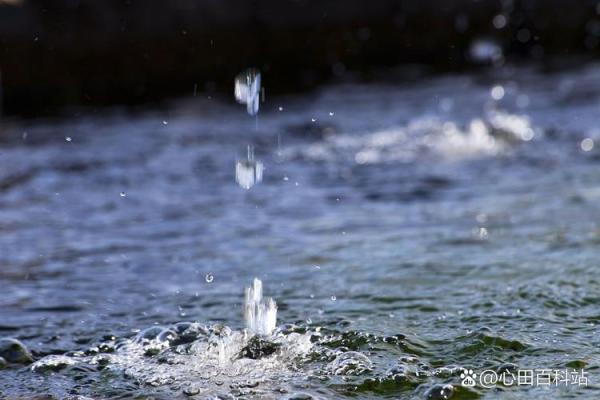 梦见下雨发水