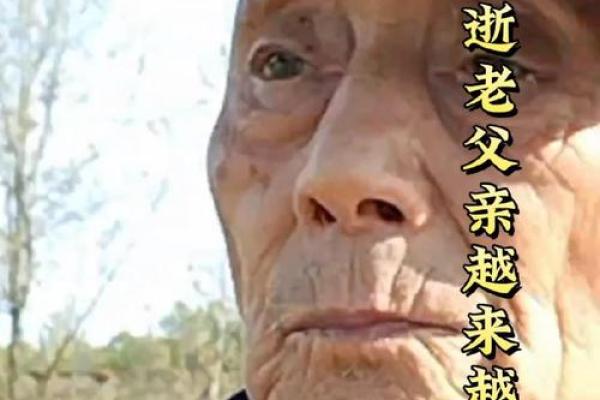 已婚女儿梦见父亲去世