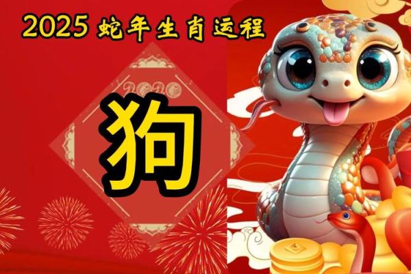 属狗的2025年运势和财运怎么样(属狗的2025年运势和财运怎么样今天财运如何)