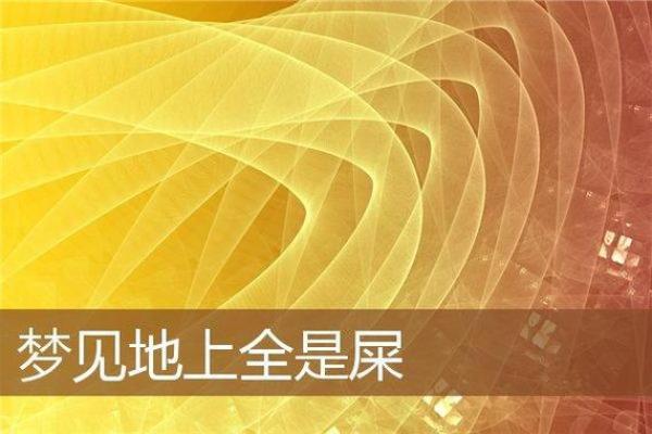 梦见身上有屎