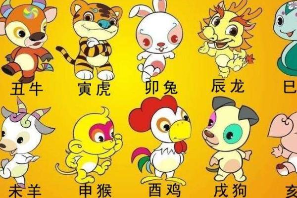 2017年属什么生肖