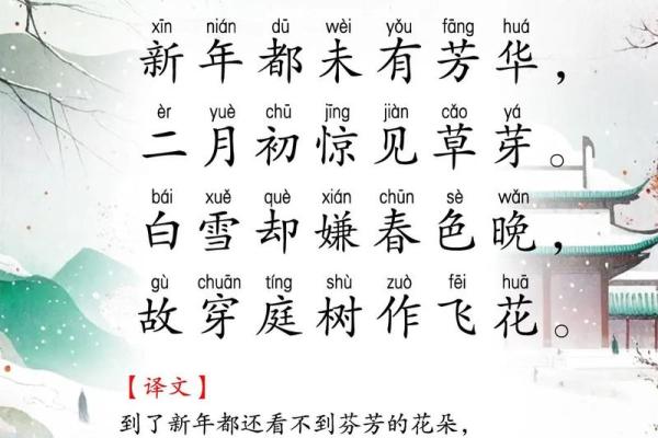 梦见春天下雪