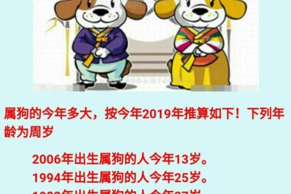 属狗和什么属相相冲