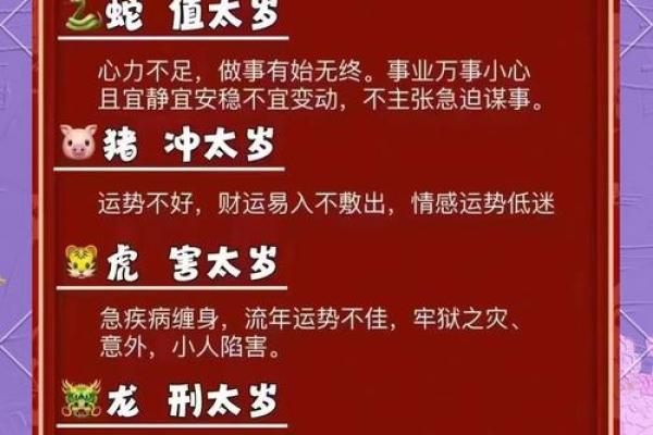 明年是什么生肖
