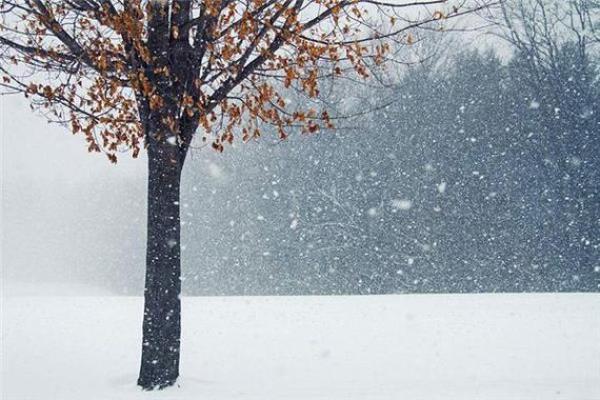 梦见下雪是什么征兆周公解梦