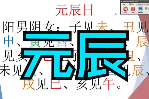 元辰在八字中代表什么意思(元辰在八字中代表什么意思女命)