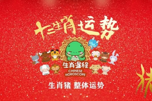 2025属猪血光之灾(2025属猪血光之灾2007年猪)