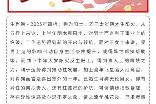 属狗人2025彻底大爆发(属狗人2025彻底大爆发)