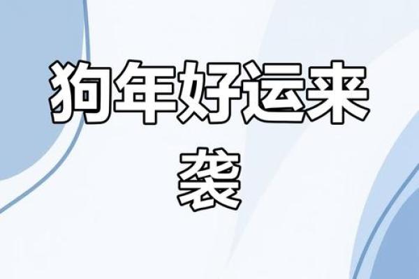 属狗人2025彻底大爆发(属狗人2025彻底大爆发)