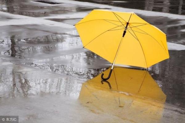 梦见下雨买伞