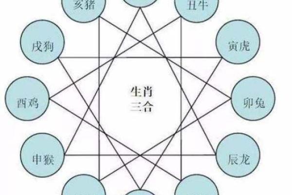 属鼠和什么属相相冲