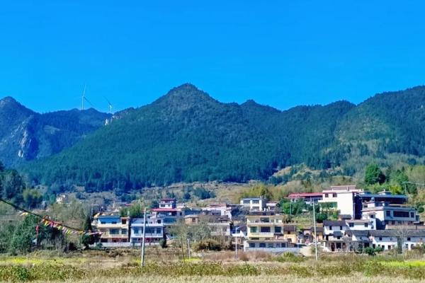 梦见山上有房子