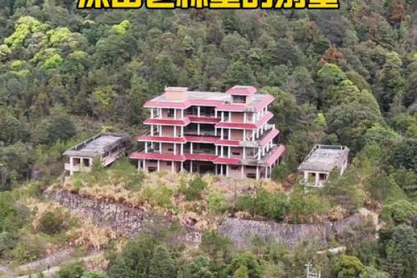 梦见山上有房子