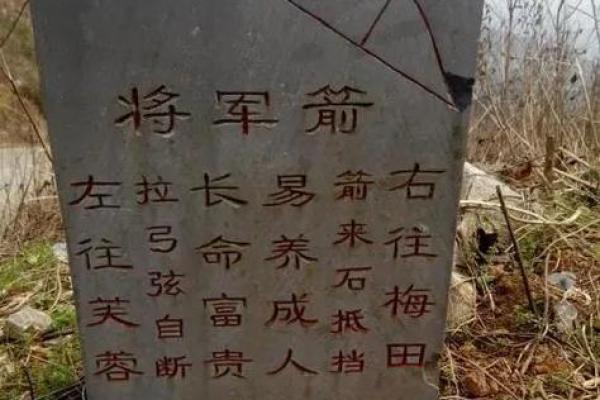将军箭在八字中代表什么意思(将军箭在八字中代表什么意思呀)