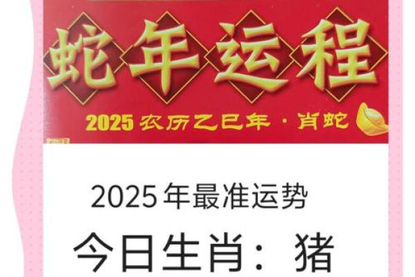 2025年属猪大发横财(2025年属猪大发横财71年)