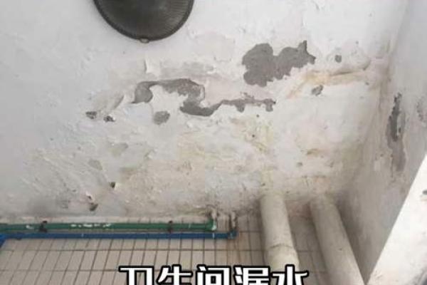梦见自己房子漏水
