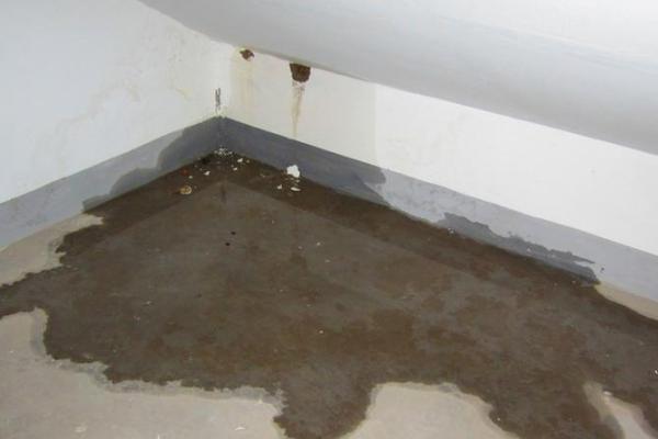 梦见自己房子漏水