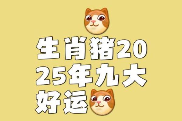 2025属猪人的全年运势如何(2025属猪人的全年运势如何2007年6月)