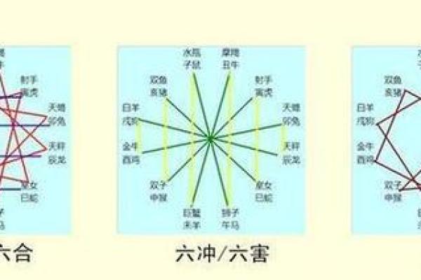 子午相冲三合出是指什么生肖