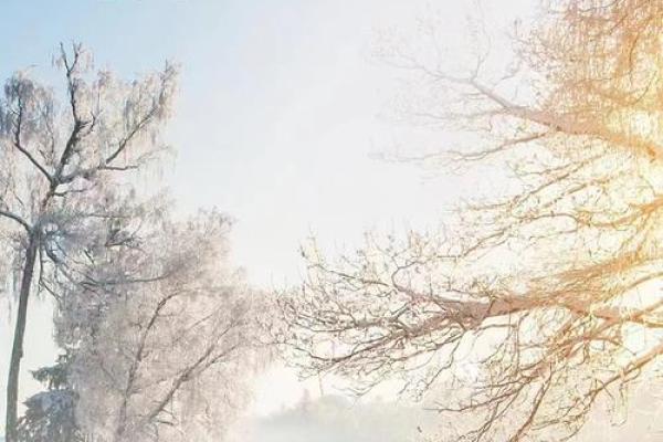 周公解梦下雪