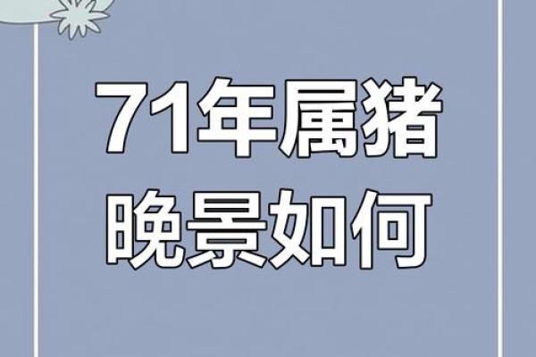 71年属猪的人2025年的运势及运程(71年属猪人2023年运势及运程)