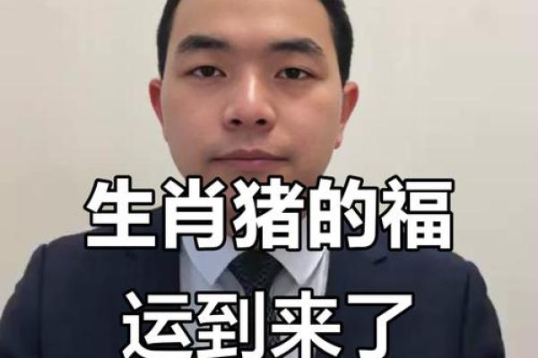 71年属猪的人2025年的运势及运程(71年属猪人2023年运势及运程)