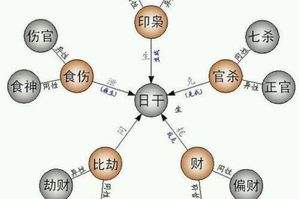 帝旺在八字中代表什么意思(怎么查命格五行)