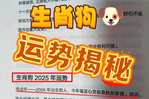 属狗2025的特大贵人(属狗2025的特大贵人)