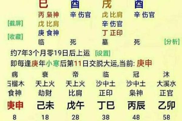 伤官在八字中代表什么意思(劫财在八字中代表什么意思)