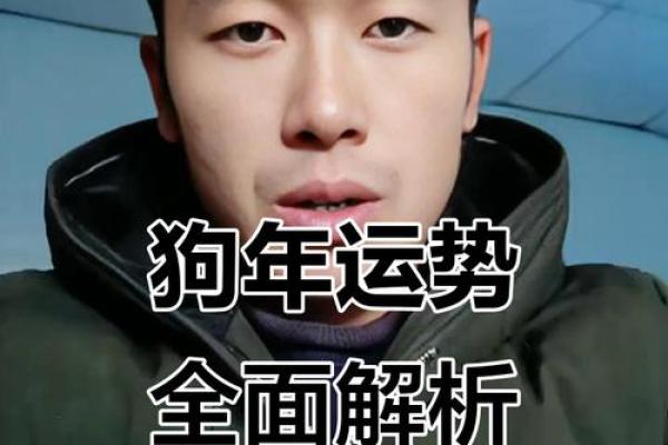 属狗人2025年全年运势详解(属狗人2025年全年运势详解)