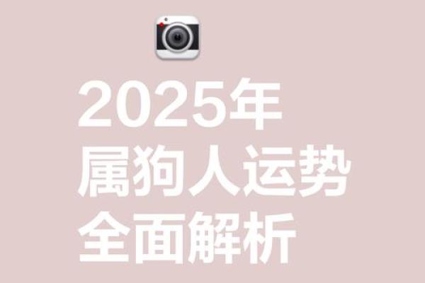 属狗人2025年全年运势详解(属狗人2025年全年运势详解)
