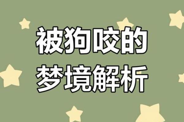 梦见狗追我是什么预兆