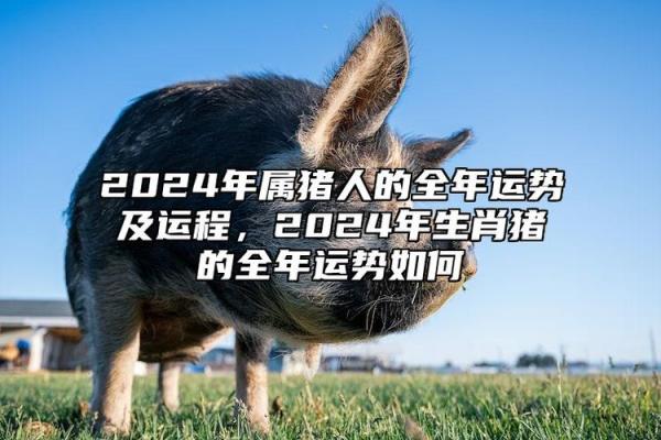 2025年属猪运势及运程1983年生人(2025年属猪运势及运程1983年生人每月)