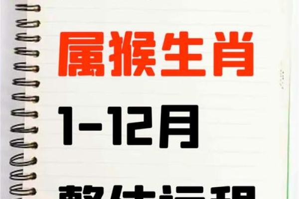 2004年属猴人2025年运势(2004年属猴人2025年运势婚姻)